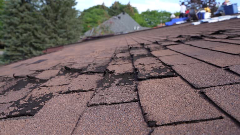 Best Rubber Roofing (EPDM, TPO)  in Collinsville, AL
